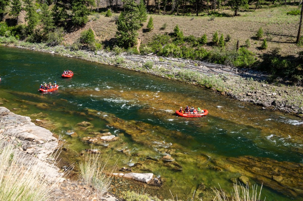 Multiple rafting groups floating down a clear section of the Middle Fork Salmon River surrounded by forested canyon walls in Idaho.