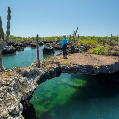 land bridge with cactus and turquoise water in the Galapagos islands